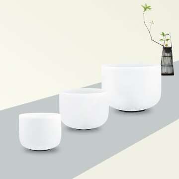 RYAN DVAN Crystal Singing Bowl Set - 6" B, 7" A, 8" E with Case for Sound Therapy