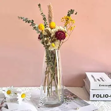 Aoderun Glass Vase for Flowers Modern Vases Home Decor Unique Flower Vase for Bouquet 8.7" Centerpiece Vase Decor Room,Bedroom,Living Room,Library,Office,Table,Entryway,Modern Farmhouse(Clear)