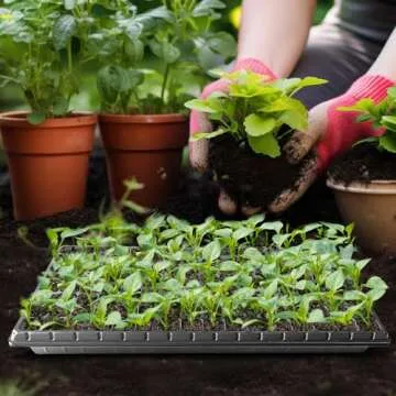 RooTrimmer 10 Pack 128 Cell Seed Starter Trays
