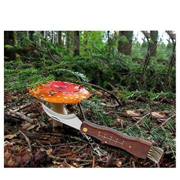 Folding Mushroom Knife with Wood Handle & Brush