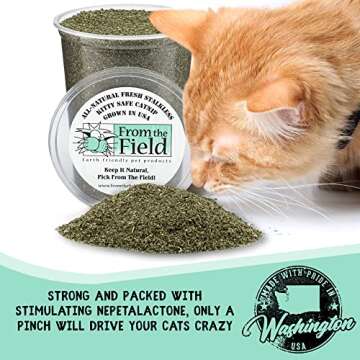 from The Field | Fine Ground Stalkless Catnip | Premium USA-Grown Catnip for Toys & Playtime | Fresh, Potent, Non-Toxic, Eco-Friendly | Safe for Kittens & Cats | Resealable 6 oz Tub