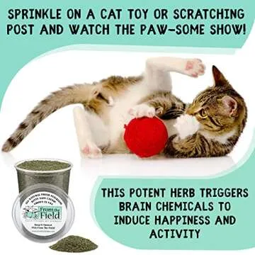 from The Field | Fine Ground Stalkless Catnip | Premium USA-Grown Catnip for Toys & Playtime | Fresh, Potent, Non-Toxic, Eco-Friendly | Safe for Kittens & Cats | Resealable 6 oz Tub