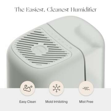 Canopy Bedside Humidifier 2.0, Moonstruck, 36 HR Run Time, 2.5L Capacity - Reading Light & White Noise - Alleviate Symptoms of Allergies, Cold, Dry Skin - Humidifier, Filter, Power Cord & Adapter