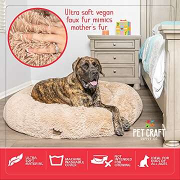 Pet Craft Supply Wellness Calming Dog Bed for Small Dogs - Cat Bed for Indoor Cats - with Bonus Matching Dog Blanket Cat Blanket to Combat Anxiety, Clear, XXLarge 45" x 45" (8741EC)