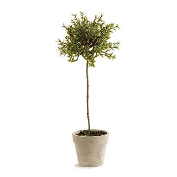 NAPA Home & Garden Thyme Topiary 13"