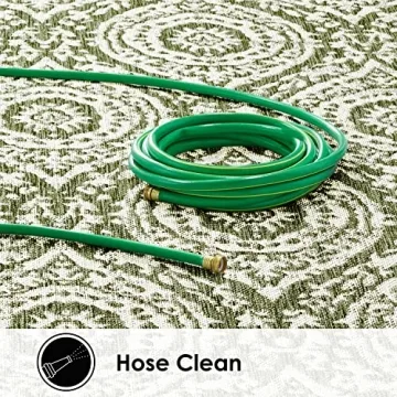 Nicole Miller Zoe Moroccan Damask Area Rug 5'2x7'2