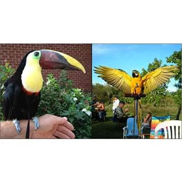 The AVIATOR Pet Bird Harness and Leash: Large Blue