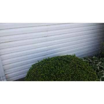 Iron OUT Rust Stain Remover Powder - 4.75 lb for Home and Outdoors