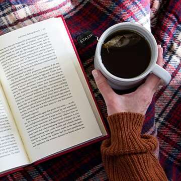 Stash Tea Holiday Chai Black Tea, Box of 100 Tea Bags