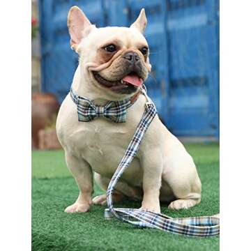 Durable Handmade Dog Leash with Soft Handle for All Sizes