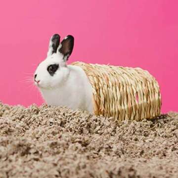 Carefresh 99% Dust-Free Natural Paper Small Pet Bedding with Odor Control, 14 L