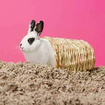 Carefresh 99% Dust-Free Natural Paper Small Pet Bedding with Odor Control, 14 L