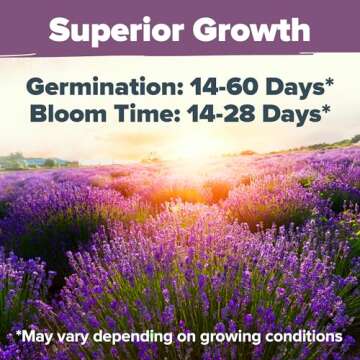 HOME GROWN Premium English Lavender Seeds 2 Pack, 3000 Non-GMO Herb Seeds, USA-Sourced Wildflower Seed for Planting Indoor/Outdoor, High Germination, Plant Flower Seeds (Lavandula antustifolia)