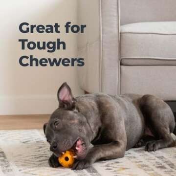 Durable Oxyfresh Dog Dental Chew Toy for Tough Chewers