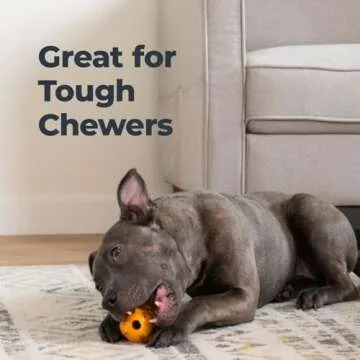 Durable Oxyfresh Dog Dental Chew Toy for Tough Chewers