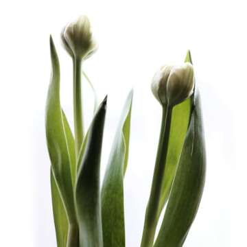 FUJIFILM X Replacement Lens 16mm F2.8 Compact and Durable