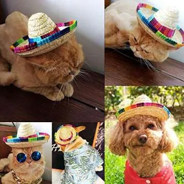 BTYMS Mini Sombrero Party Hats for Festive Celebrations