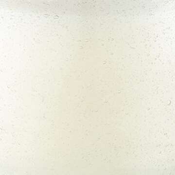 Paddywax Scented Candles Coastal La Playa Collection Artisan Candle in Hand-Blown Glass, 9 Ounces, Cactus Flower Bamboo