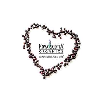 Nova Scotia Organics Freeze Dried Wild Blueberries Snacker Pack (6 x 21g)