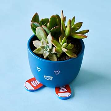 KiwiCo - Draw & Grow Chalkboard Planter, Unique Plant Pot & Art Project for Kids Ages 3+