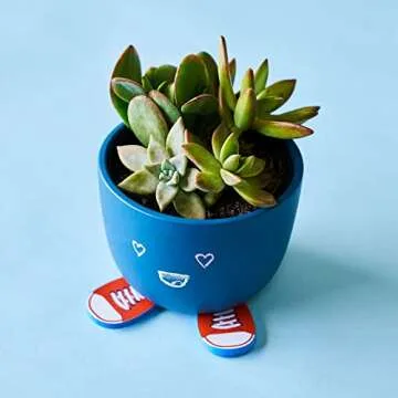 KiwiCo - Draw & Grow Chalkboard Planter, Unique Plant Pot & Art Project for Kids Ages 3+