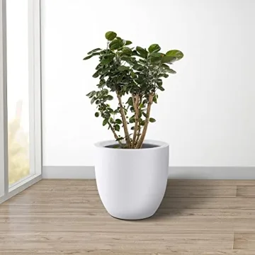 Kante 14 Inch Round Concrete Planter for Home and Garden