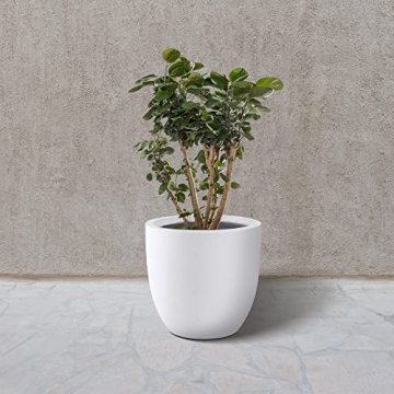Kante 14 Inch Round Concrete Planter for Home and Garden