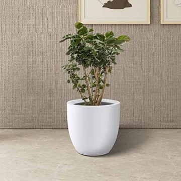 Kante 14 Inch Round Concrete Planter for Home and Garden