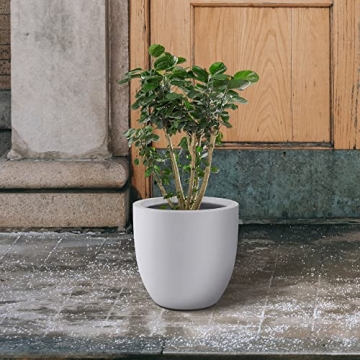 Kante 14 Inch Round Concrete Planter for Home and Garden