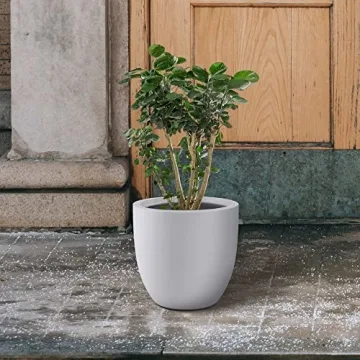 Kante 14 Inch Round Concrete Planter for Home and Garden