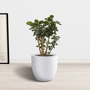Kante 14 Inch Round Concrete Planter for Home and Garden