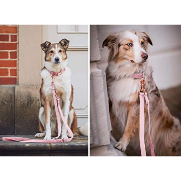 Stylish Soft Leather Dog Collar & Leash Set for All Breeds