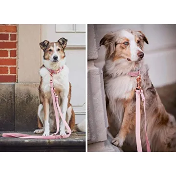 Stylish Soft Leather Dog Collar & Leash Set for All Breeds