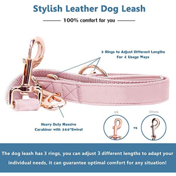 Stylish Soft Leather Dog Collar & Leash Set for All Breeds
