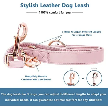 Stylish Soft Leather Dog Collar & Leash Set for All Breeds