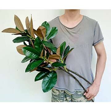 Olivachel Artificial Magnolias Branches Faux Rubber Tree Leaves Long Stem Real Touch for Home Indoor Outdoor Decor (Green, Pack of 2pcs)