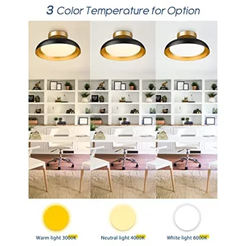 Kudos 12-Inch LED Light Fixture in Black and Gold Finish