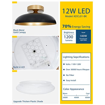 Kudos 12-Inch LED Light Fixture in Black and Gold Finish