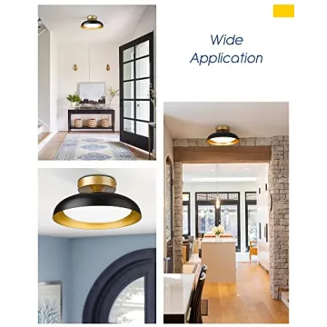 Kudos 12-Inch LED Light Fixture in Black and Gold Finish