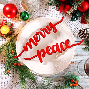 Charming 12-Piece Rustic Christmas Plate Decor