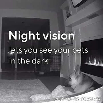 WYZE Cam Pan 1080p Pet Monitoring Camera with 32GB SD Card