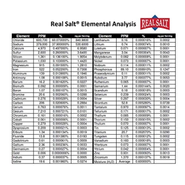 Ancient Fine Sea Salt - Redmond Real Salt 16oz