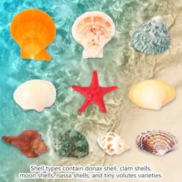 Aunifun 100 pcs Colorful Natural Sea Shells for Crafts