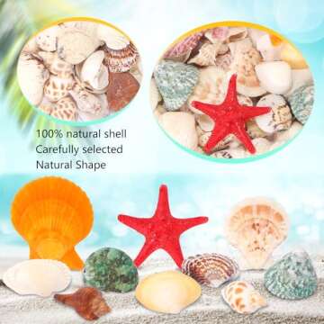 Aunifun 100 pcs Colorful Natural Sea Shells for Crafts