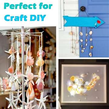 Aunifun 100 pcs Colorful Natural Sea Shells for Crafts