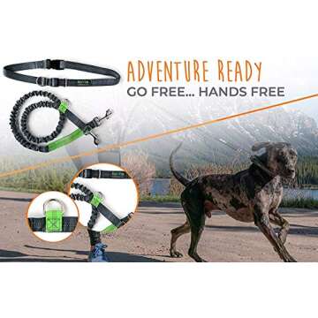 Mighty Paw Hands Free Dog Leash | Bungee Waist Leash for Dog Walking. Pet Running Hands Free Tether ...