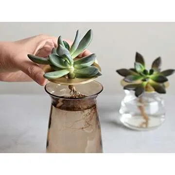 Elegant KINTO Flower Vase Luna Base for Delicate Flowers