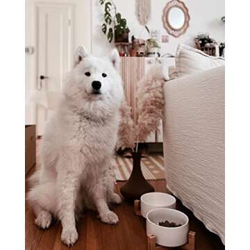 SPUNKYJUNKY Ceramic Dog and Cat Bowl with Wood Stand Non-Slip Matte Glaze Weighted Food Water Set fo...