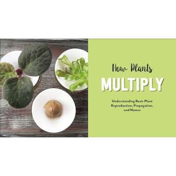 Plant Parenting: Easy Ways to Make More Houseplants, Vegetables, and Flowers