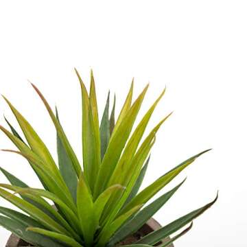 Velener Mini Home Decoration Aloe Vera Artificial Plants with Paper-Mache Pots (Set of 2), 7 inches ...